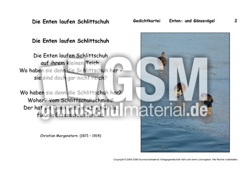 Die Enten laufen Schlittschuh-Morgenstern.pdf